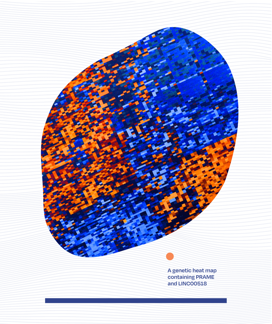 Asset 3-min (1) A genetic heat map containing PRAME and LINC00518