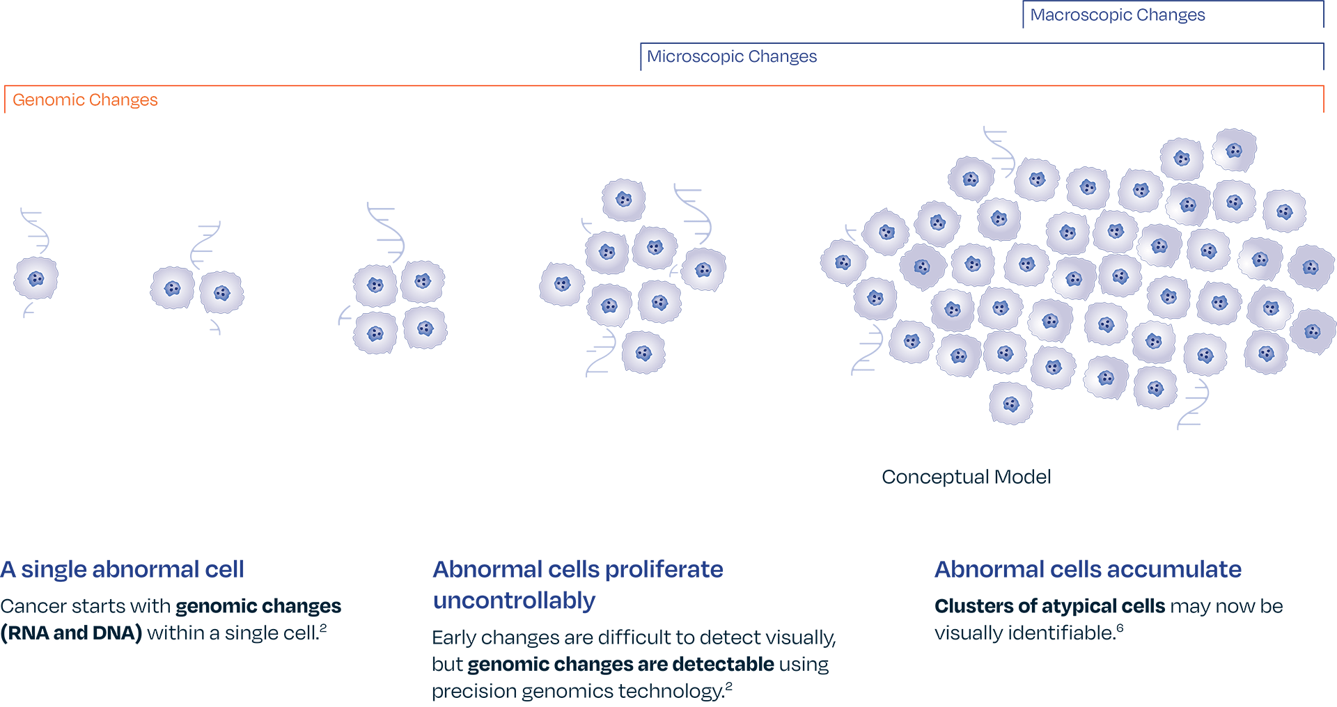 conceptual-model-v2
